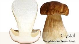 Presentation with mushroom - Presentation theme with forest mushroom ready for kitchen background and a lemonade colored foreground