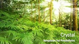  Presentation with fern - Beautiful PPT theme featuring forest nature background fern backdrop and a tawny brown colored foreground