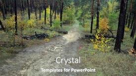  Presentation with forest - Audience pleasing slide set consisting of forest-near-kiev-at-autumn backdrop and a gray colored foreground