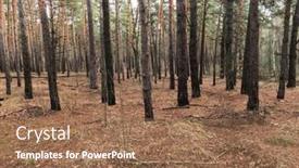  Presentation with forest winter - Amazing PPT layouts having forest-near-kiev-at-winter backdrop and a coral colored foreground