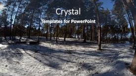  Presentation with winter forest - PPT theme having forest-near-kiev-at-winter background and a ocean colored foreground