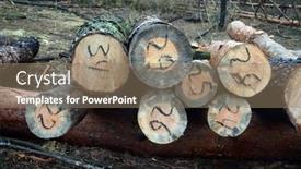  Presentation with winter forest - Presentation consisting of forest-near-kiev-at-winter background and a  colored foreground