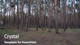  Presentation with taiga forest - Amazing presentation design having taiga - forest near kiev backdrop and a dark gray colored foreground