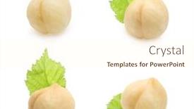  Presentation with hazelnuts - Slide set consisting of forest-nuts-hazelnuts-isolated background and a cream colored foreground
