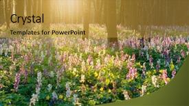  Presentation with half white and half bright coloured - Slide deck featuring forest of brightly coloured flowers background and a gold colored foreground