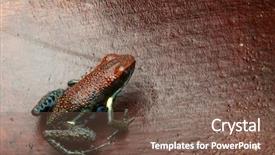  Presentation with ecuador - Slide deck with forest of colombia and ecuador background and a violet colored foreground