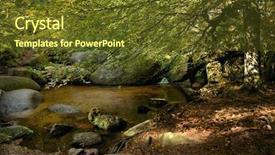  Presentation with forest patches - Beautiful theme featuring forest of huelgoat in brittany backdrop and a  colored foreground