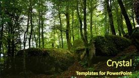  Presentation with thorn forest - PPT layouts with forest of huelgoat in brittany background and a  colored foreground