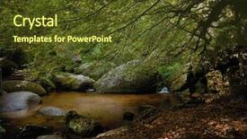  Presentation with snails and forest - Theme with forest of huelgoat in brittany background and a  colored foreground