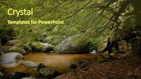  Presentation with forest - Audience pleasing PPT layouts consisting of forest of huelgoat in brittany backdrop and a  colored foreground