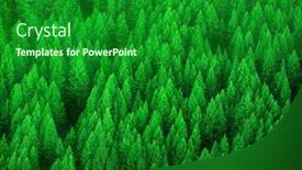  Presentation with green forest morning - Presentation featuring forest-of-pine-trees background and a forest green colored foreground