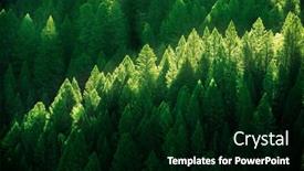  Presentation with green forest morning - Slide set featuring forest-of-pine-trees background and a black colored foreground