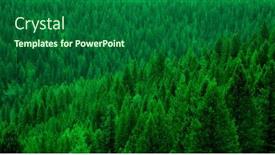  Presentation with wilderness - Presentation theme featuring forest-of-pine-trees background and a  colored foreground
