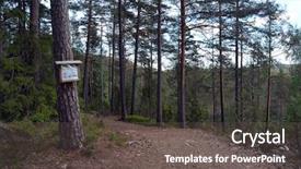  Presentation with norway - Beautiful slide deck featuring forest on a summer day backdrop and a  colored foreground