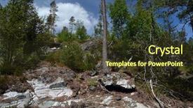  Presentation with norway - PPT theme having forest on a summer day background and a  colored foreground