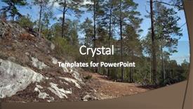  Presentation with norway - Presentation design featuring forest on a summer day background and a  colored foreground