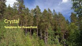  Presentation with norway - Cool new PPT theme with forest on a summer day backdrop and a tawny brown colored foreground