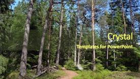  Presentation with norway - Presentation theme with forest on a summer day background and a tawny brown colored foreground