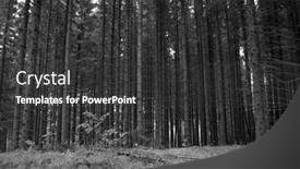  Presentation with norway - Presentation theme with forest-on-a-summer-day background and a  colored foreground