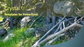  Presentation with trees - PPT layouts featuring forest-on-the-mountainside background and a  colored foreground