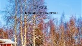  Presentation with forest morning - Slide deck consisting of forest-on-the-shore background and a light blue colored foreground