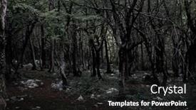  Presentation with mystical - Slide deck with dark and tree mystical background and a dark gray colored foreground