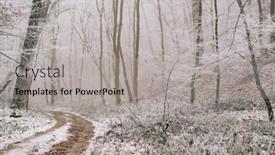  Presentation with winter forest - 