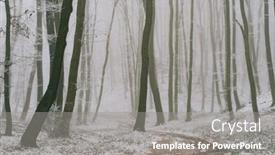  Presentation with forest winter - 