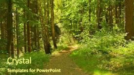  Presentation with path - Slides having forest path background and a  colored foreground
