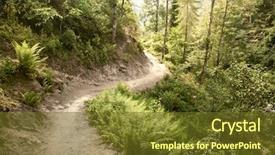  Presentation with nepal - Slide set having portrait of a cat scottish background and a  colored foreground.