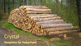  Presentation with wood industry - PPT theme with forest-pine-and-spruce-trees background and a tawny brown colored foreground