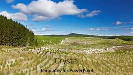  Presentation with plantation - Presentation design featuring forest-plantation-with-new-seedlings background and a yellow colored foreground