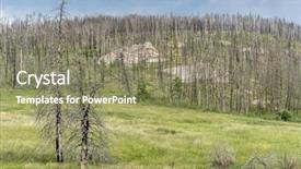  Presentation with jeep - PPT layouts featuring forest recovering from a wildfire background and a coral colored foreground