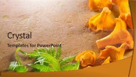  Presentation with invitation or border design - Audience pleasing presentation theme consisting of forest restaurant - chanterelle mushrooms raw wild chanterelles backdrop and a coral colored foreground