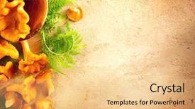  Presentation with mushrooms - Presentation design consisting of forest restaurant - raw wild chanterelles mushrooms background and a lemonade colored foreground