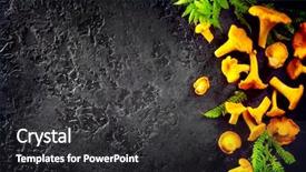  Presentation with top view of appetizing fresh - Presentation theme enhanced with forest restaurant - raw wild chanterelles mushrooms background and a dark gray colored foreground