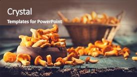  Presentation with rustic wood - Audience pleasing theme consisting of forest restaurant - raw wild chanterelles mushrooms backdrop and a  colored foreground