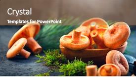  Presentation with saffron - Beautiful slide deck featuring forest restaurant - raw wild saffron milk cap backdrop and a coral colored foreground