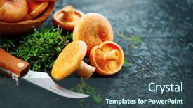  Presentation with saffron - Presentation theme with forest restaurant - raw wild saffron milk cap background and a ocean colored foreground