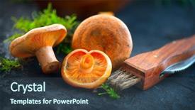  Presentation with saffron - PPT layouts consisting of forest restaurant - raw wild saffron milk cep background and a tawny brown colored foreground