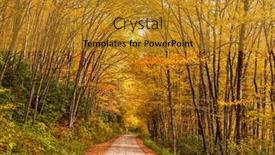  Presentation with forest road - Audience pleasing PPT theme consisting of forest-road-during-autumn-season backdrop and a gold colored foreground