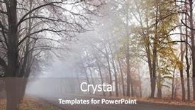  Presentation with foggy forest - Beautiful presentation theme featuring forest road in a foggy backdrop and a gray colored foreground