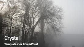  Presentation with scary forest - Slide deck featuring forest road in fog background and a dark gray colored foreground