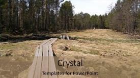  Presentation with forest road - PPT theme with forest-road-near-lake-baikal background and a coral colored foreground