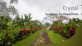 Presentation with samoa - PPT theme consisting of forest-road-on-upolu-samoa background and a white colored foreground