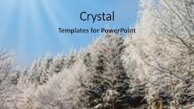  Presentation with forest morning - Colorful presentation theme enhanced with forest road prepared for skiers the wood which is filled up with snow in solar new year's morning backdrop and a light blue colored foreground