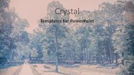  Presentation with social networks - Theme featuring giveaways - forest road vintage effect background background and a soft green colored foreground