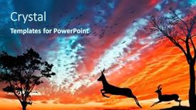  Presentation with scenery - Theme having forest-scenery-at-sunset background and a ocean colored foreground