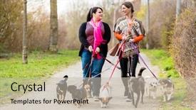  Presentation with safety interacting customers - Slide deck with forest service - dog sitters walking their customers background and a soft green colored foreground