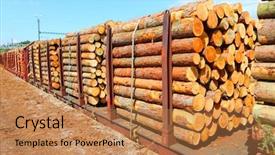  Presentation with freight transportation - Slides having forest service - timber on the freight train background and a coral colored foreground